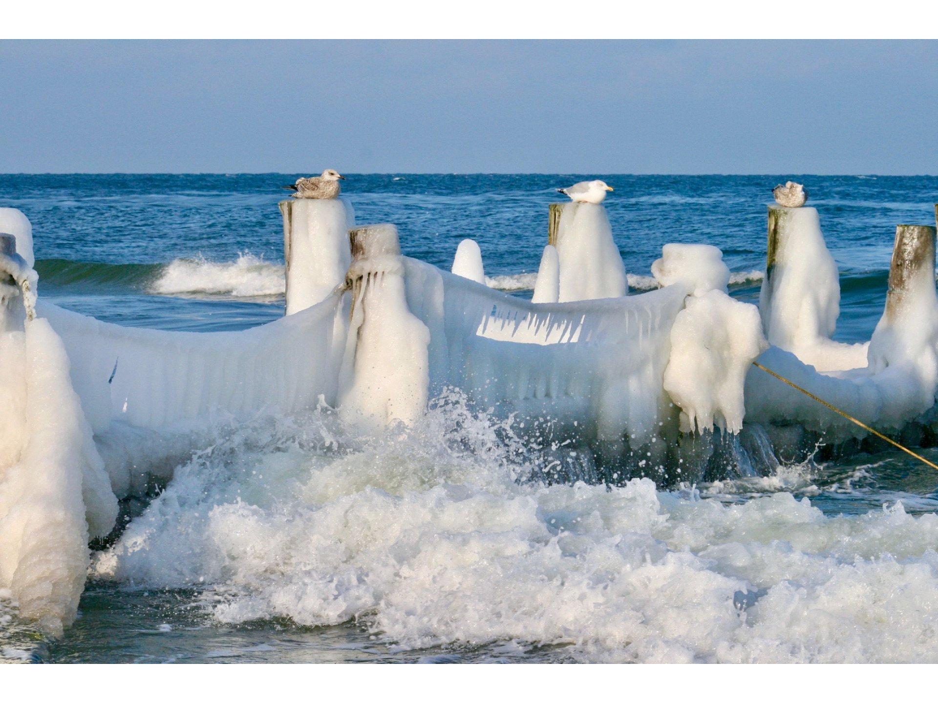 Winter in Zingst