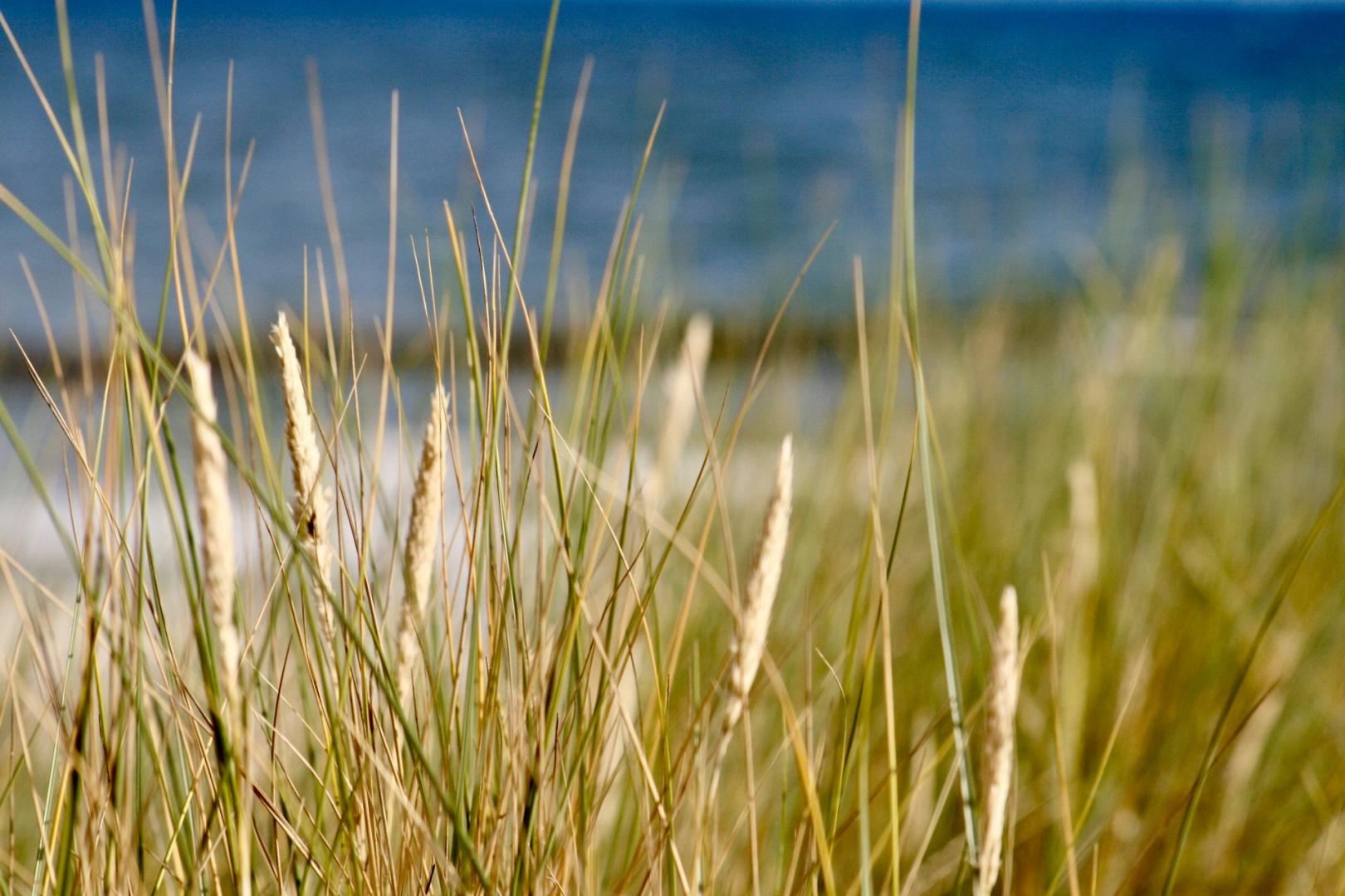 fewo-nord.de - Header